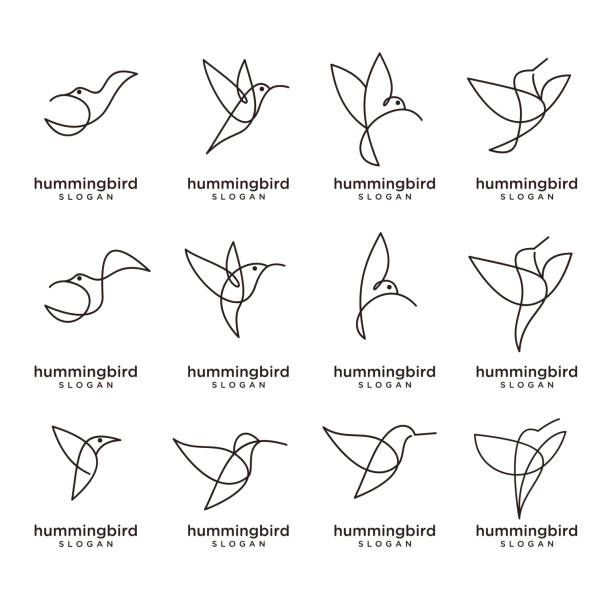 the hummingbird logo is shown in different styles and sizes, including one for each bird