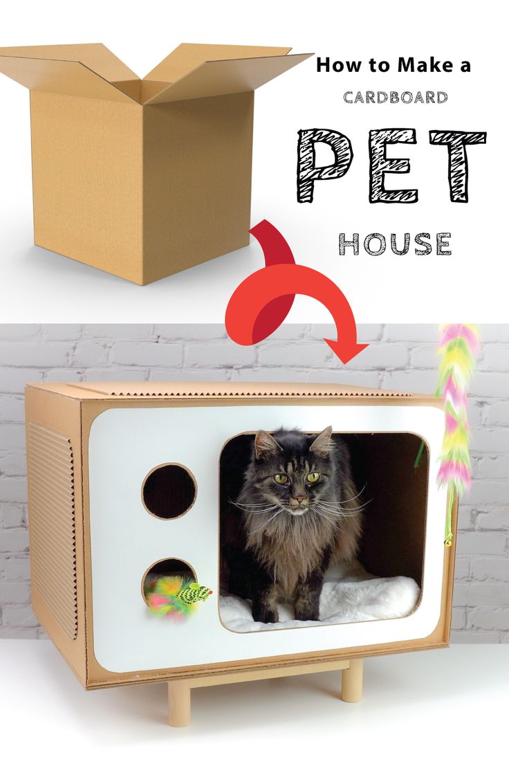 how to make a cardboard pet house that looks like a cat in a microwave oven