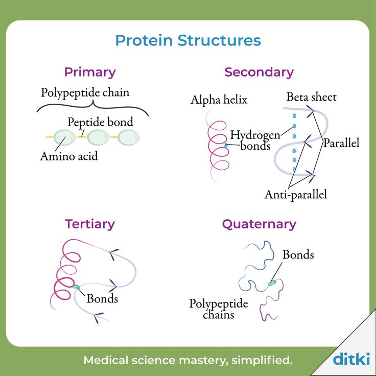 the different types of protein structures are shown in this diagram, which shows what they look like