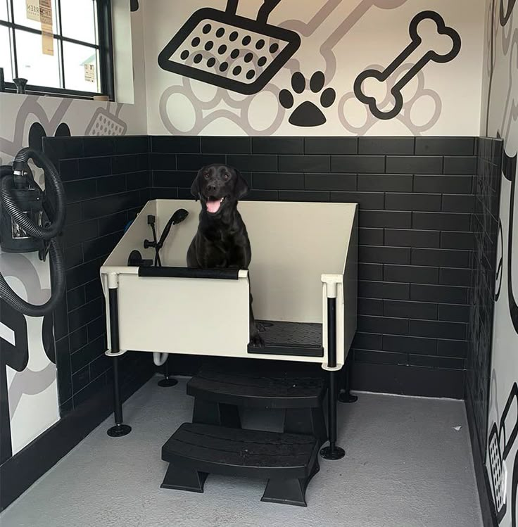 a black dog sitting at a desk in a room with white walls and flooring