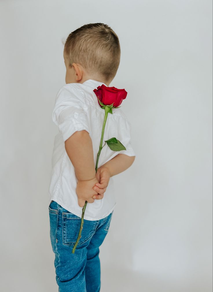 a little boy holding a red rose in his hand