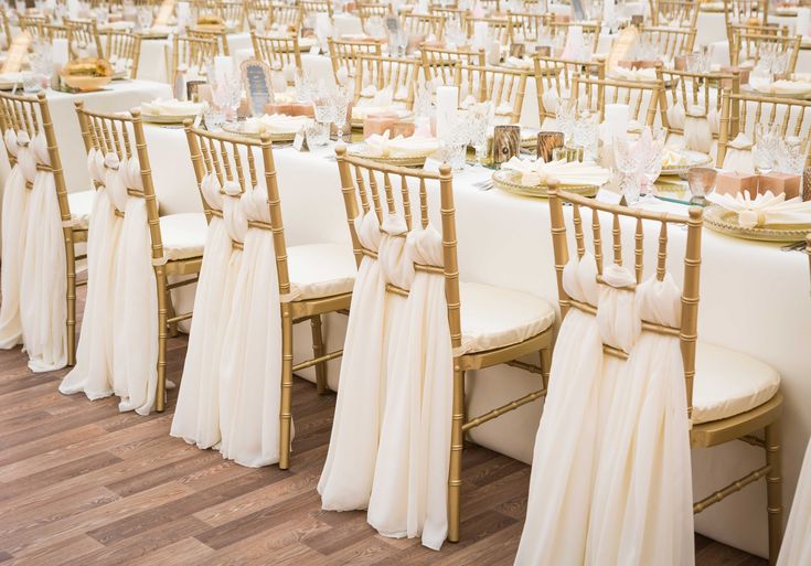 rows of chairs with white and gold sashes are set up for a wedding reception