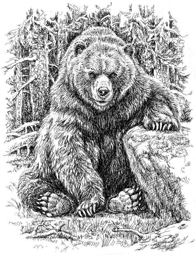 a black and white drawing of a bear sitting on the ground with trees in the background