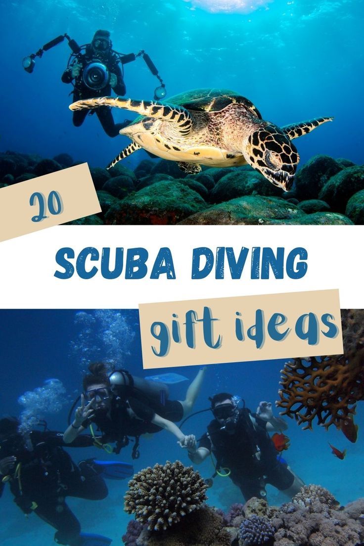 scuba diving gift ideas for the whole family to give back to their loved ones this holiday