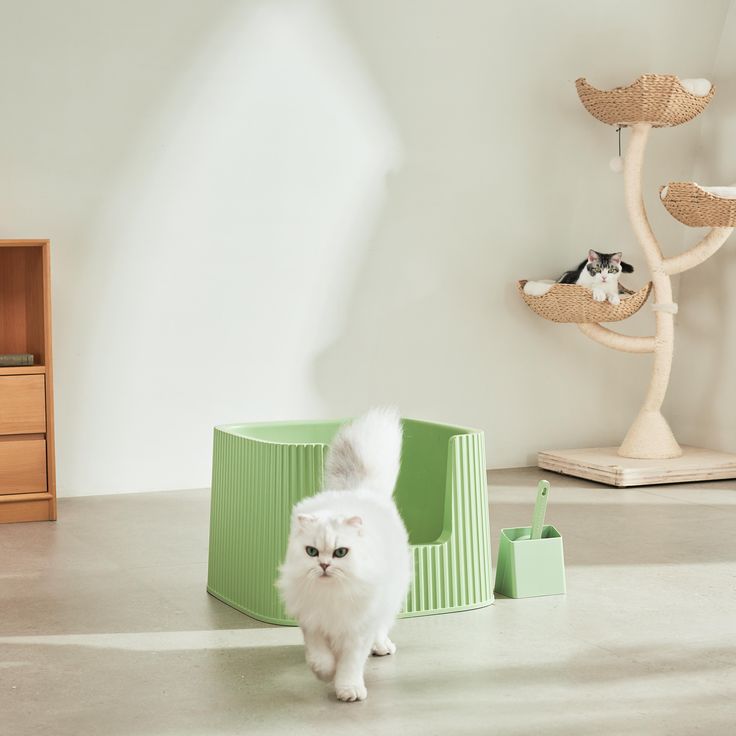 a small white dog standing next to a green cat house