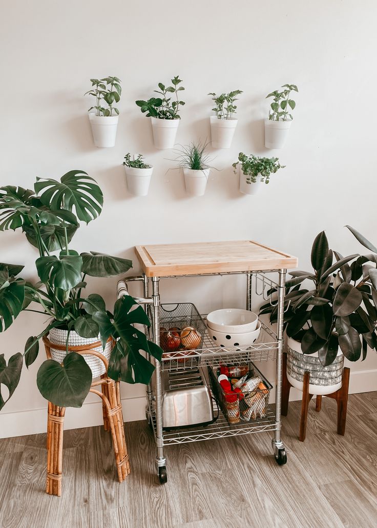 A renter-friendly herb garden & living wall Holes In The Wall, Eclectic Maximalism, Hanging Herb Garden, Diy Herb Garden, Backyard Remodel, Herb Pots, Living Wall, Plastic Pots, Renter Friendly