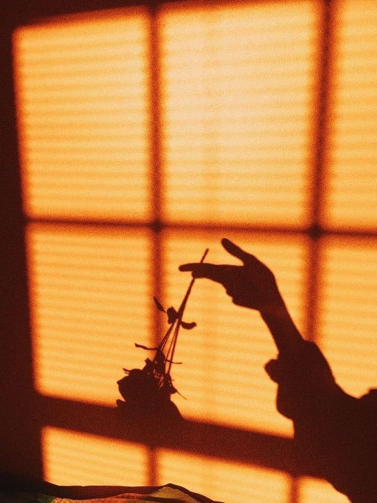 the shadow of a person holding a flower in front of a window