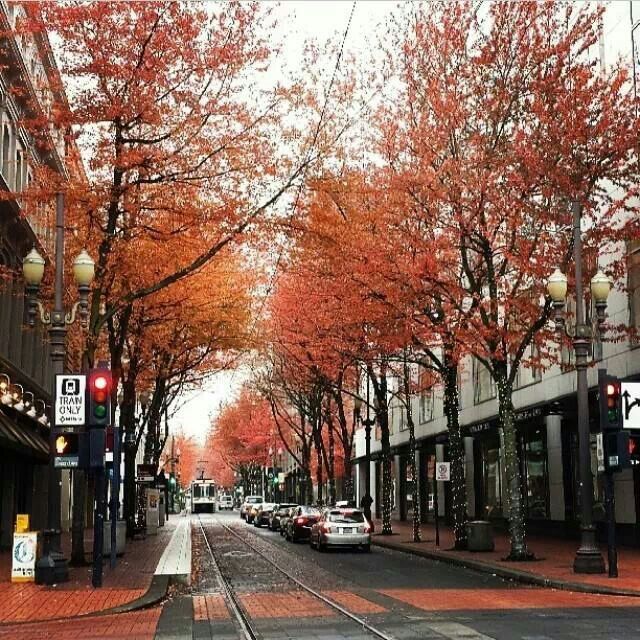 an empty city street lined with tall buildings and trees covered in red leaves during the fall