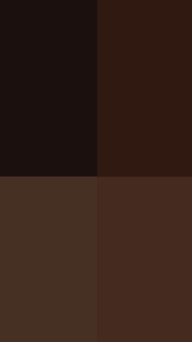 a brown and black color scheme with different shades to match the colors in this image