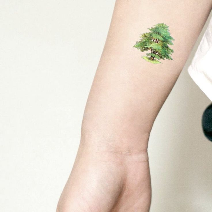 a small tree tattoo on the left arm