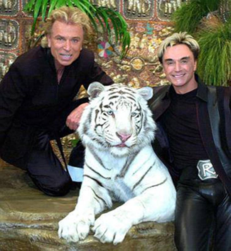 two men sitting next to a white tiger