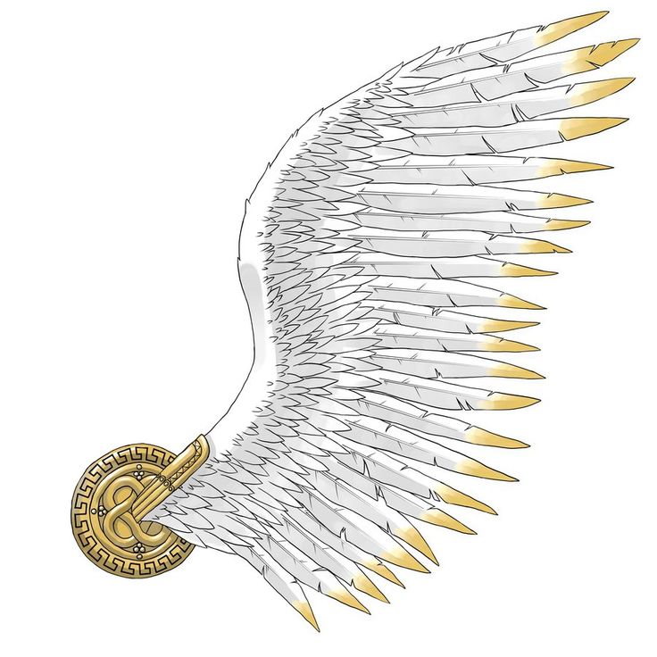 an angel wing with gold and white wings on the side, as if it were made from