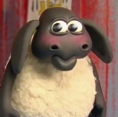 a black and white sheep with big eyes