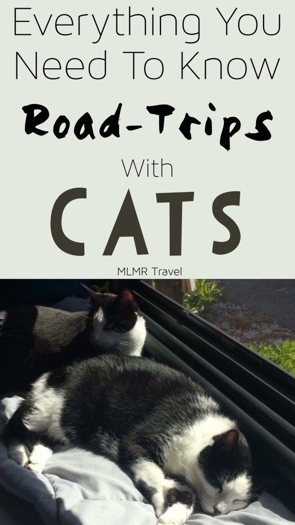 a black and white cat laying on top of a bed with the words everything you need to know about road trips with cats