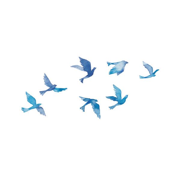 a flock of birds flying through the sky