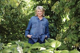 a woman standing in the middle of some plants