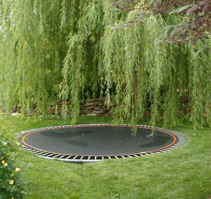 an empty trampoline in the middle of a grassy area next to a willow tree