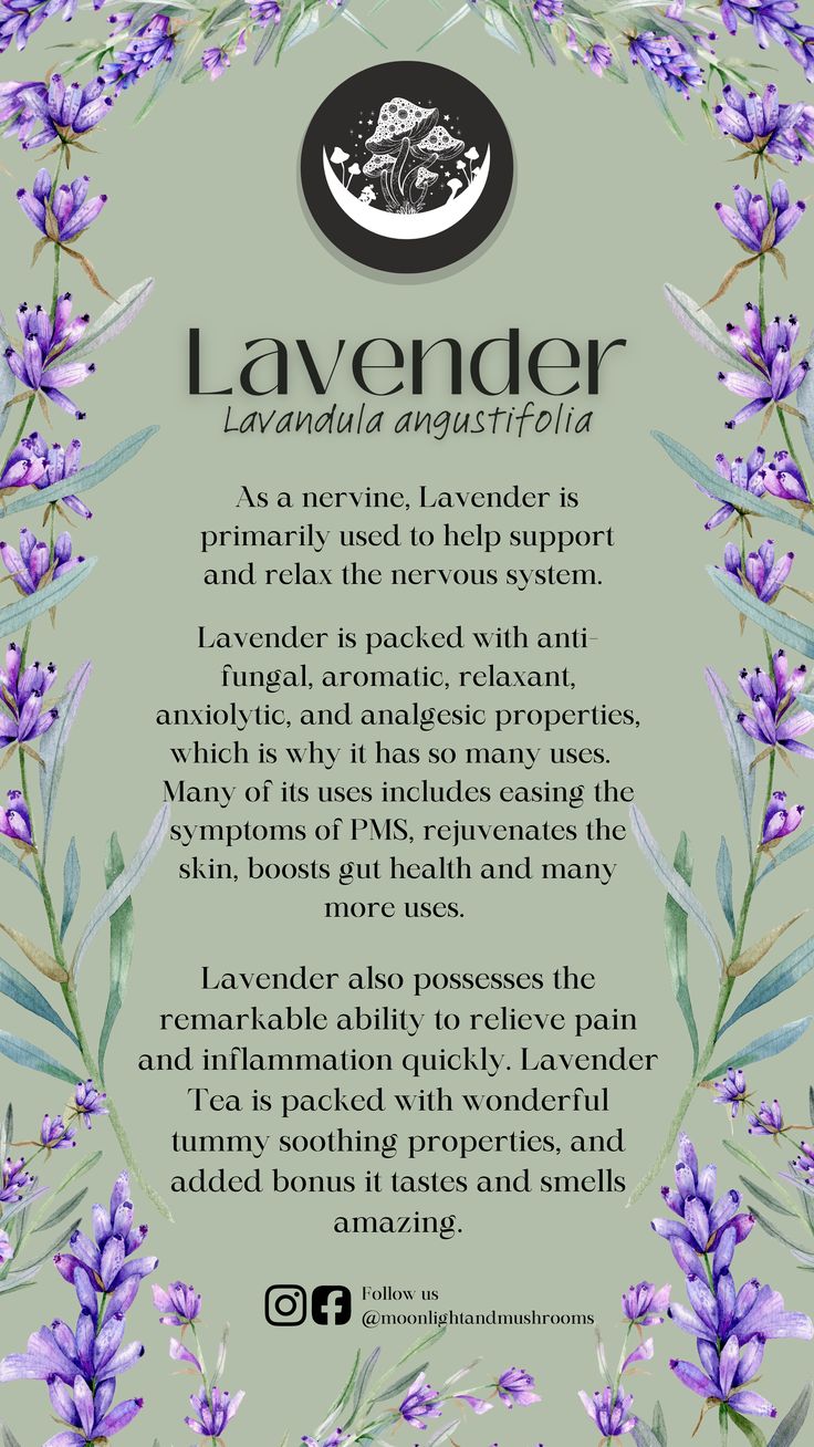 the lavender essentials label on a green background with purple flowers and leaves in it