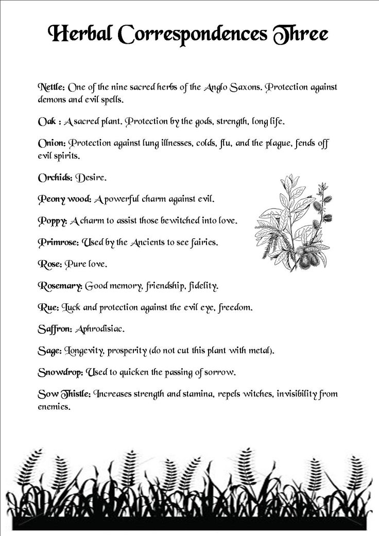 Herbal Correspondences Plant Correspondences, Herbal Correspondences, Flower Correspondences Witchcraft, Herbal Correspondences Witchcraft, Plant Correspondences Witchcraft, Rosemary Correspondence, Magical Correspondences Herbs, Flower Moon Correspondences, Witch Herbs