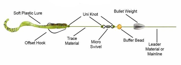 Carolina rig setup and diagram for bass fishing. Catfish Rigs, Uni Knot, Palomar Knot, Carolina Rig, Clinch Knot, Trophy Fish, Bottom Fishing, Bass Fishing Tips, Fishing Rods And Reels