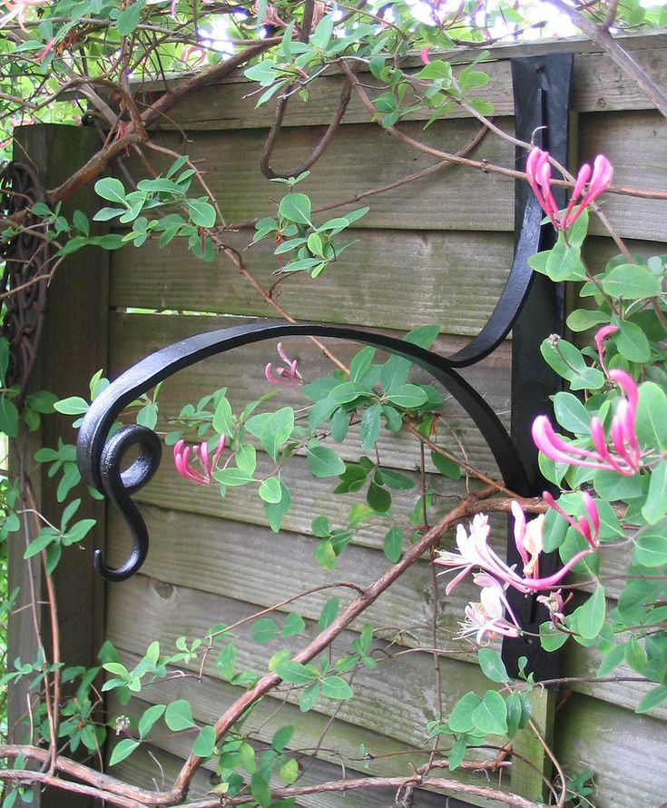 a wrought iron gate with pink flowers growing on it and green leaves around the fence