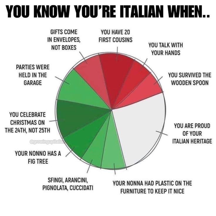 a pie chart with the words you know you're italian when