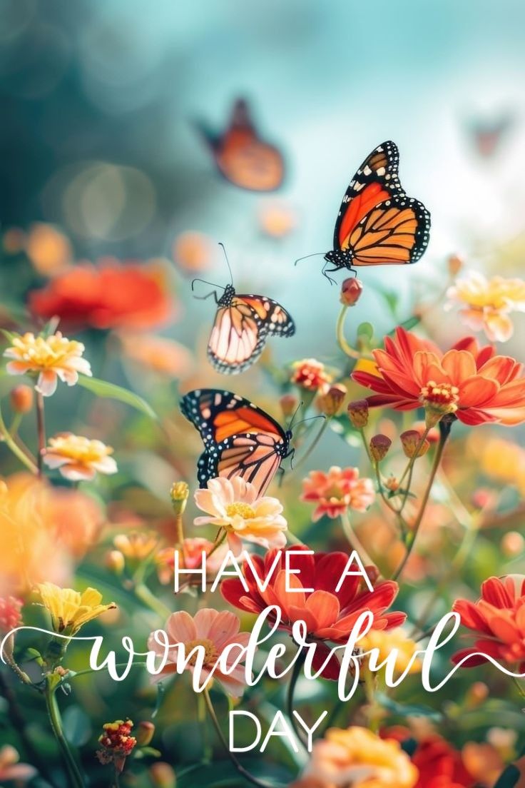 butterflies flying over flowers with the words have a wonderful day on it's side