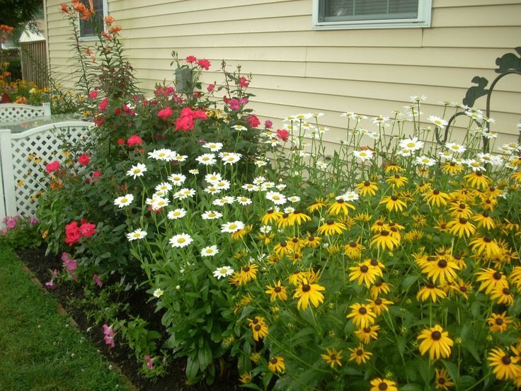 the flowers are blooming in front of the house and on the side of the building