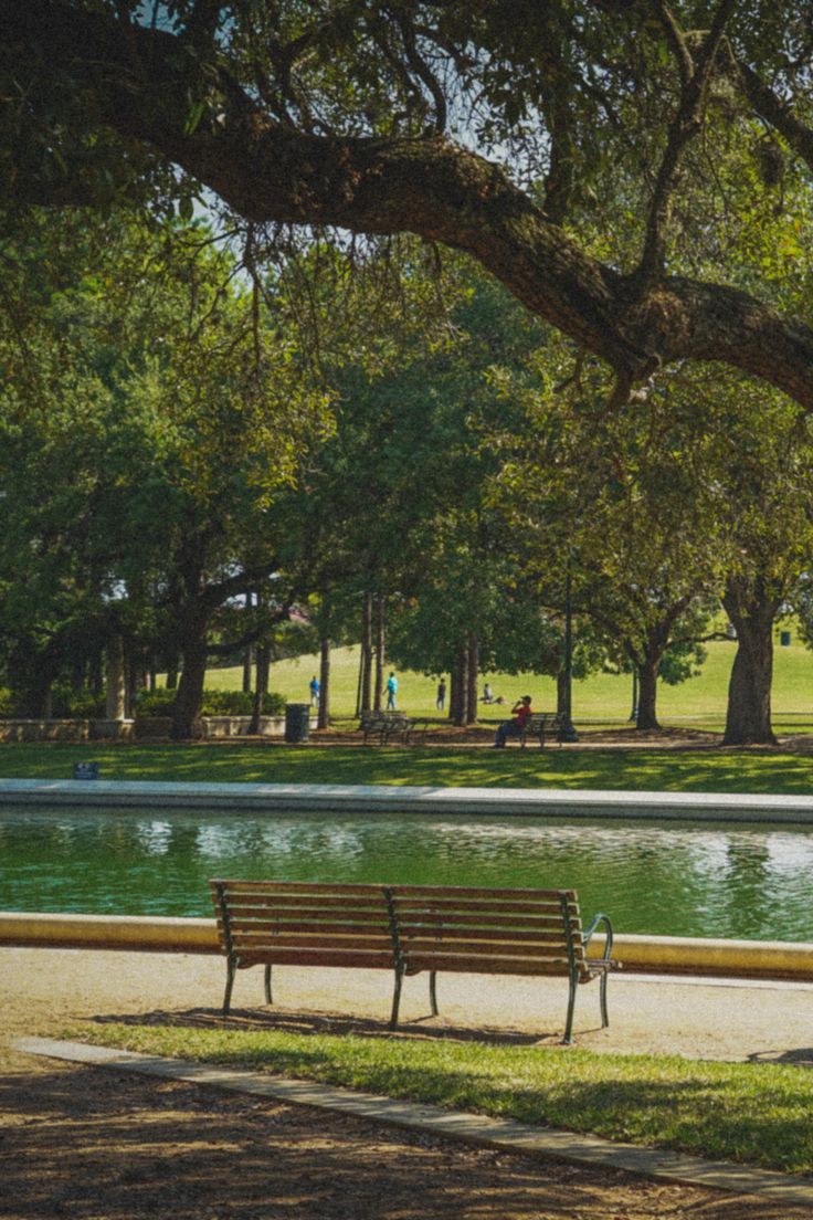 a park bench sitting next to a lake in the middle of a park with lots of trees