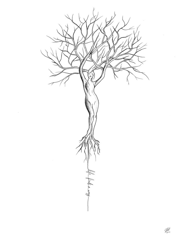 a drawing of a tree with its roots exposed