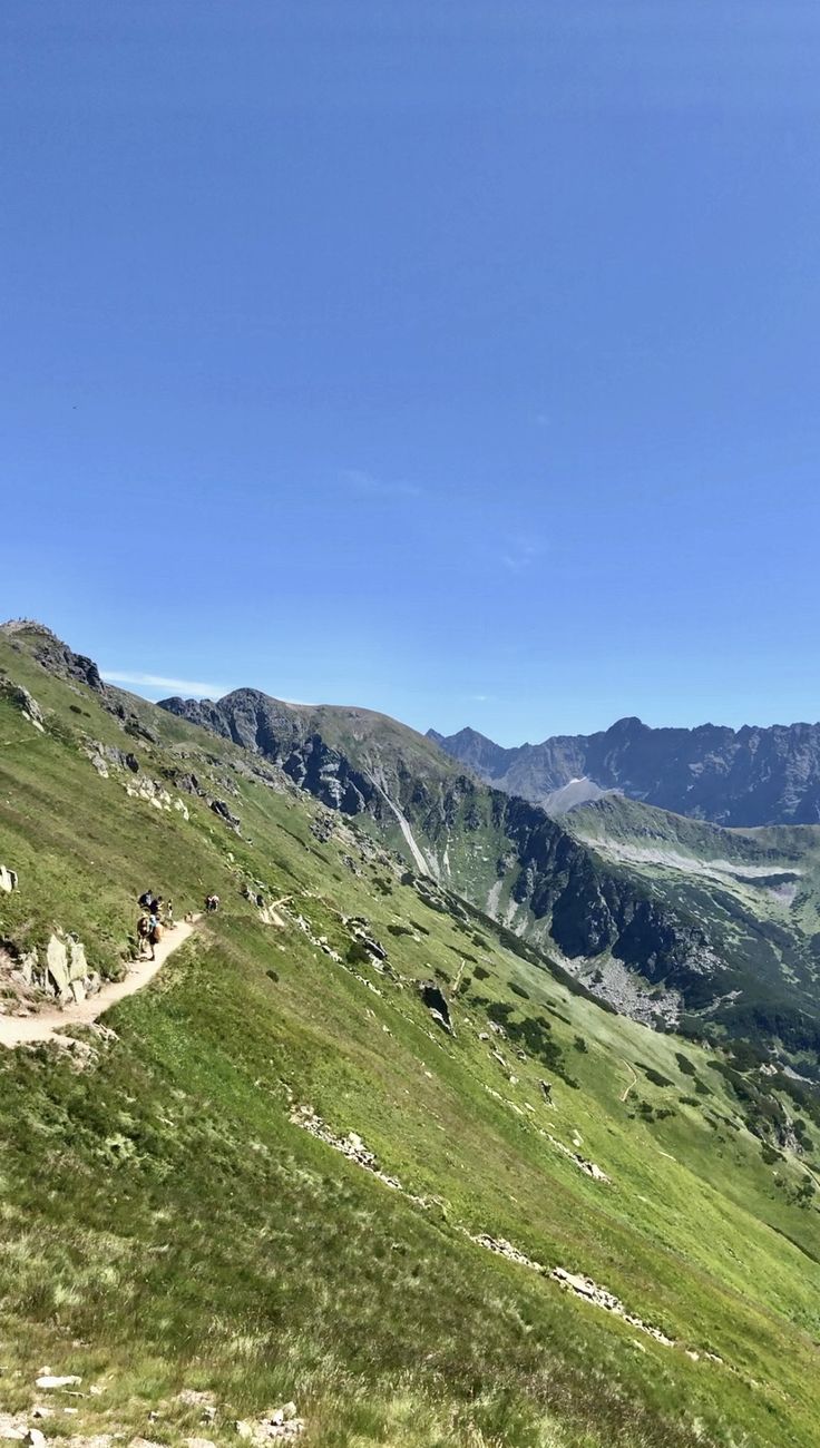 a group of people hiking up the side of a green mountain with mountains in the background