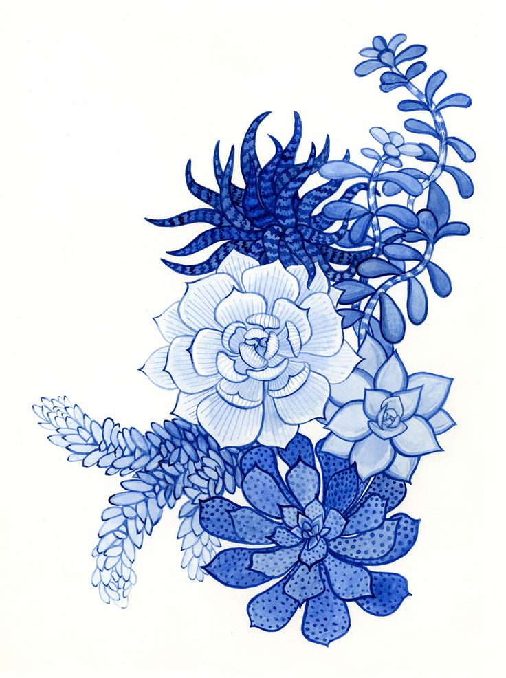 blue and white flowers on a white background