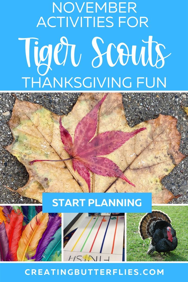 Tiger Cub Scouts Activities, Tiger Activities, Scout Meeting Ideas, Boy Scout Crafts, Nature Walk Activities, Cub Scout Games, Boy Scout Activities, Tiger Scouts, Cub Scout Crafts