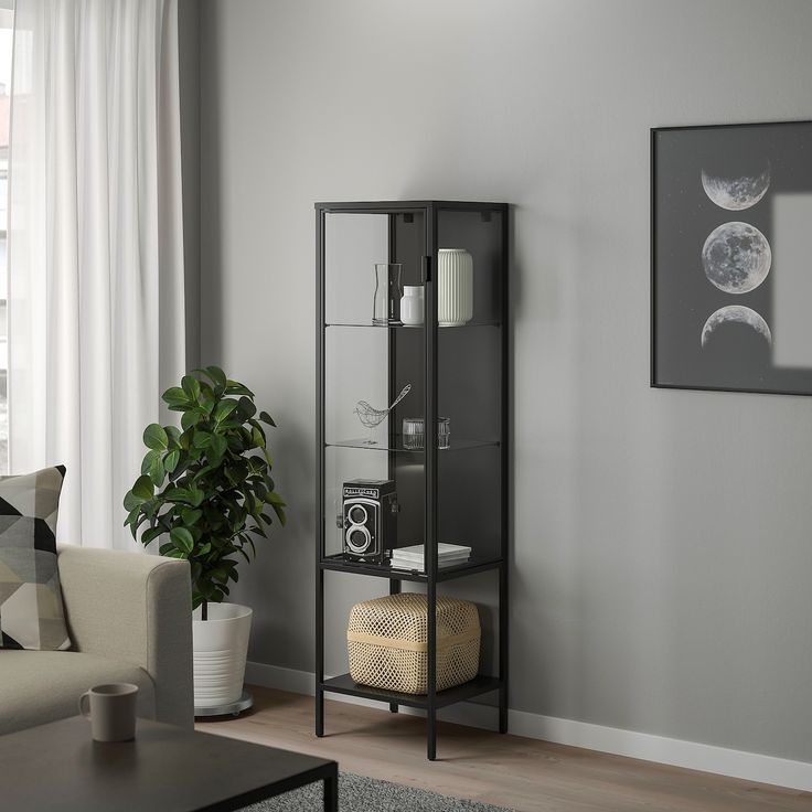 a living room filled with furniture and a potted plant