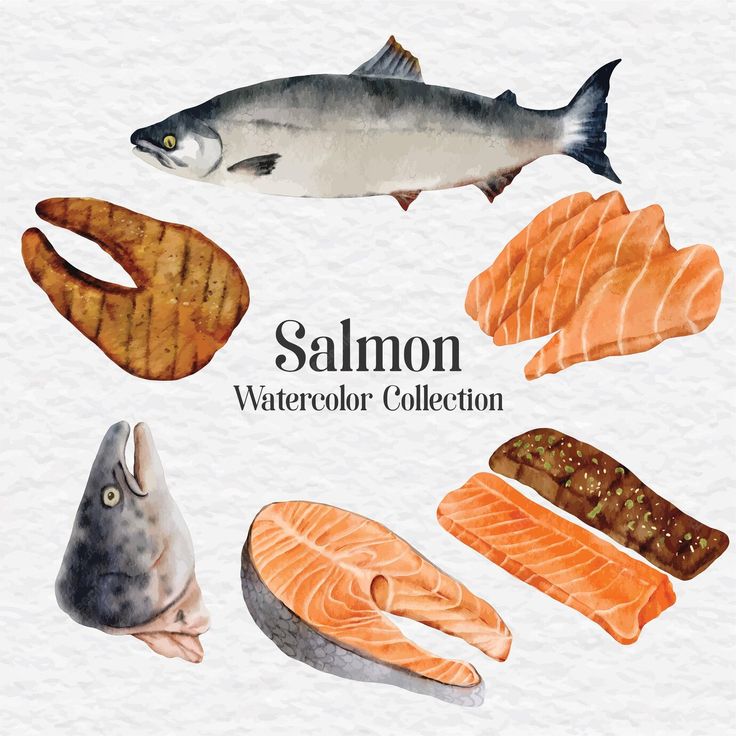 an image of salmon and other seafood items