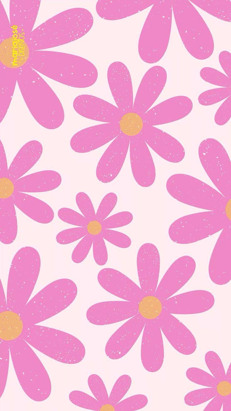 pink daisies on white background with yellow centers in the center and dots at the bottom