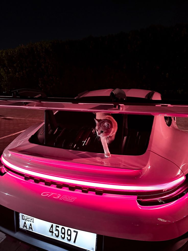 a cat sitting in the drivers seat of a pink sports car with its headlight on