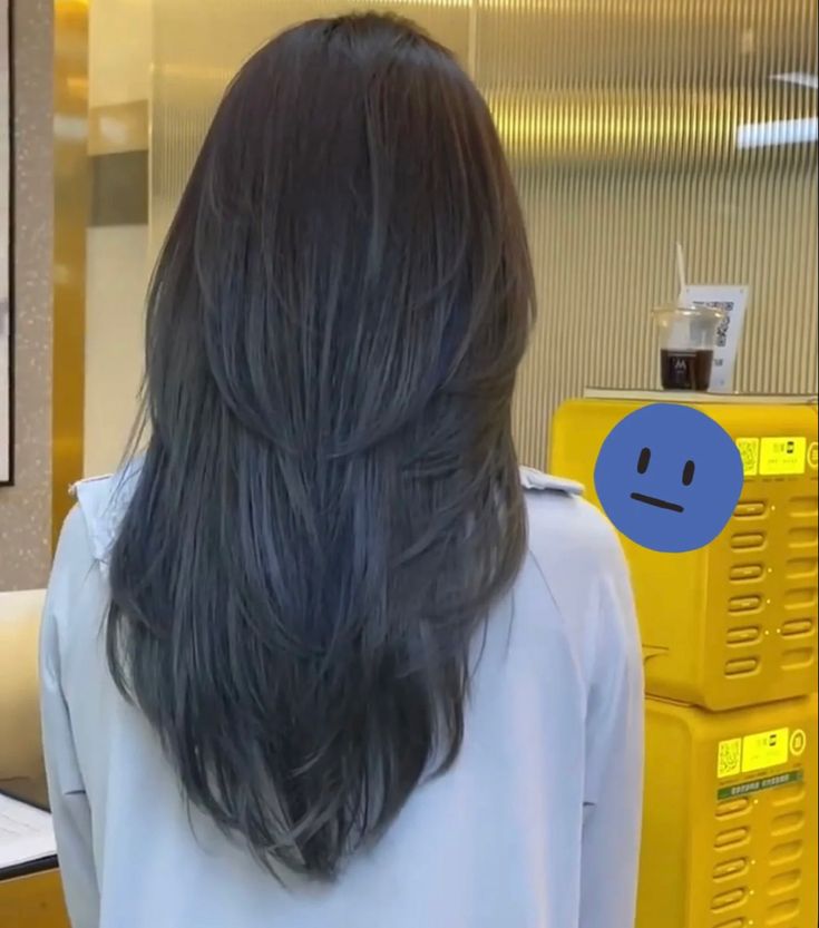 Layers On Straight Hair Not Styled, Long Haircuts Long Layers, Medium Layered Asian Hair, Asian Hair Straight Layers, V Haircut For Hair Medium, Long V Layered Hair, V Cut Layers Long Hair, V Layered Haircut Short, Short Layered Haircuts For Long Hair