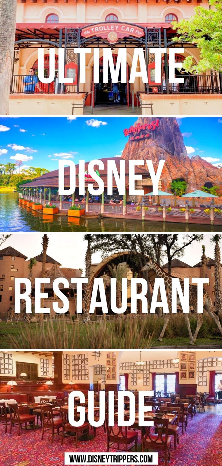 Ultimate Disney Restaurant Guide Best Food At Disney World, Tangled Treats, Best Places To Eat In Disney World, Bringing Food To Disney World, Best Restaurants At Disney World, Food At Disney World, Restaurants At Disney World, Disney Restaurants 2023, Best Disney World Food