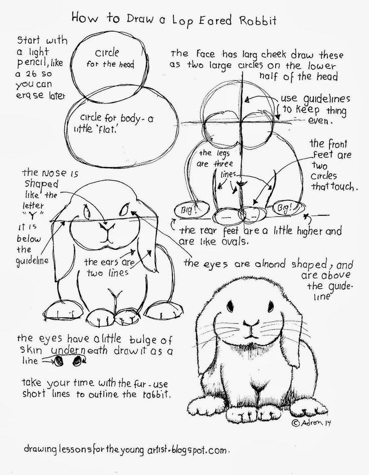 the instructions for how to draw a cartoon rabbit with different facial expressions and body parts