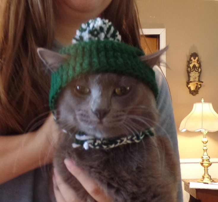 a woman holding a cat wearing a green hat