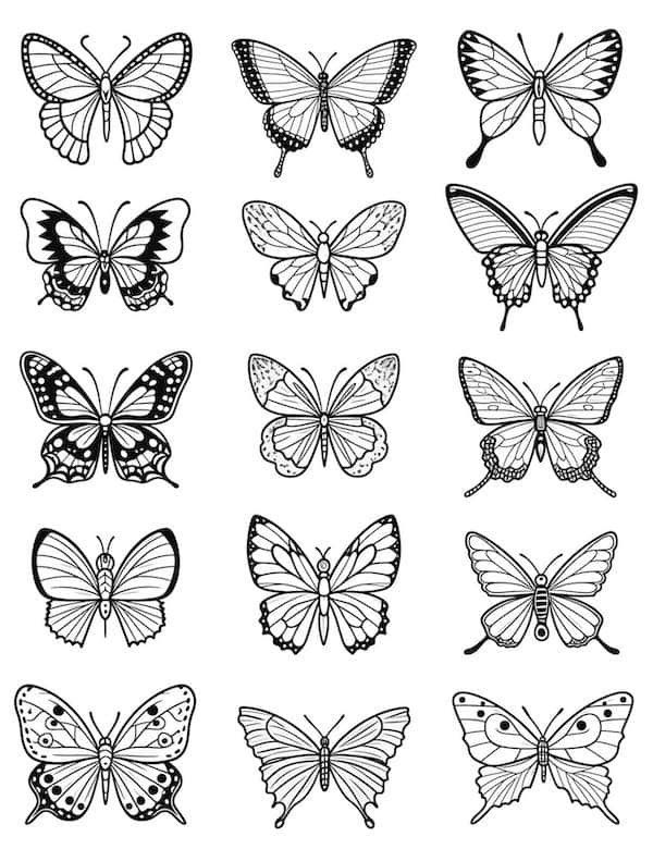 a set of nine different butterflies in black and white, each with their own outlines