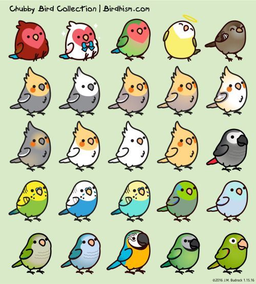 many different colored birds sitting on top of each other's legs, with the words chubby bird collection behind them