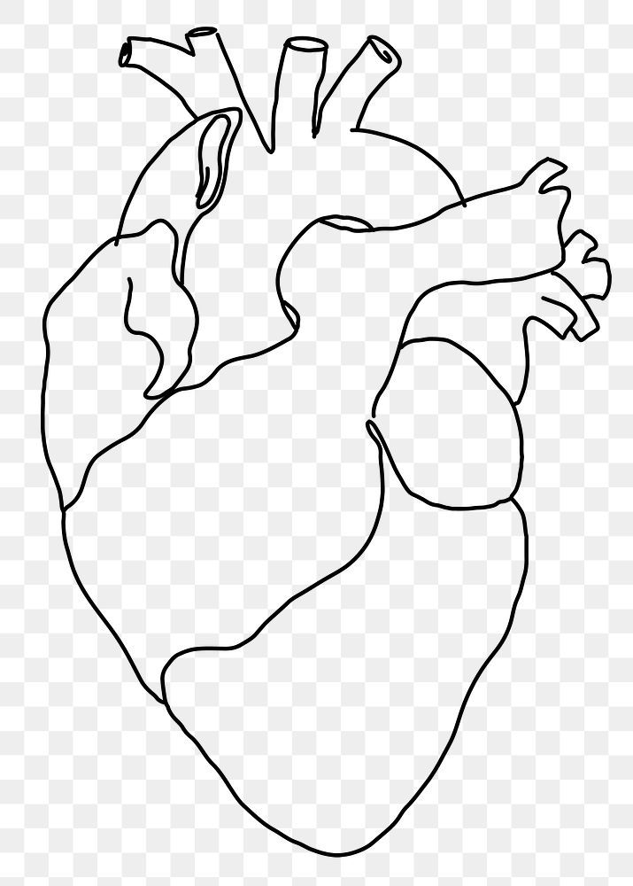 a black and white drawing of a heart on a transparent background, hd png