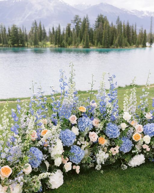 blue and white flowers lined up in front of a lake