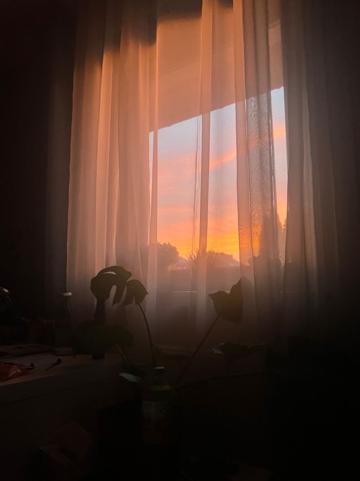 the sun is setting in front of a window with sheer curtains and flowers on it