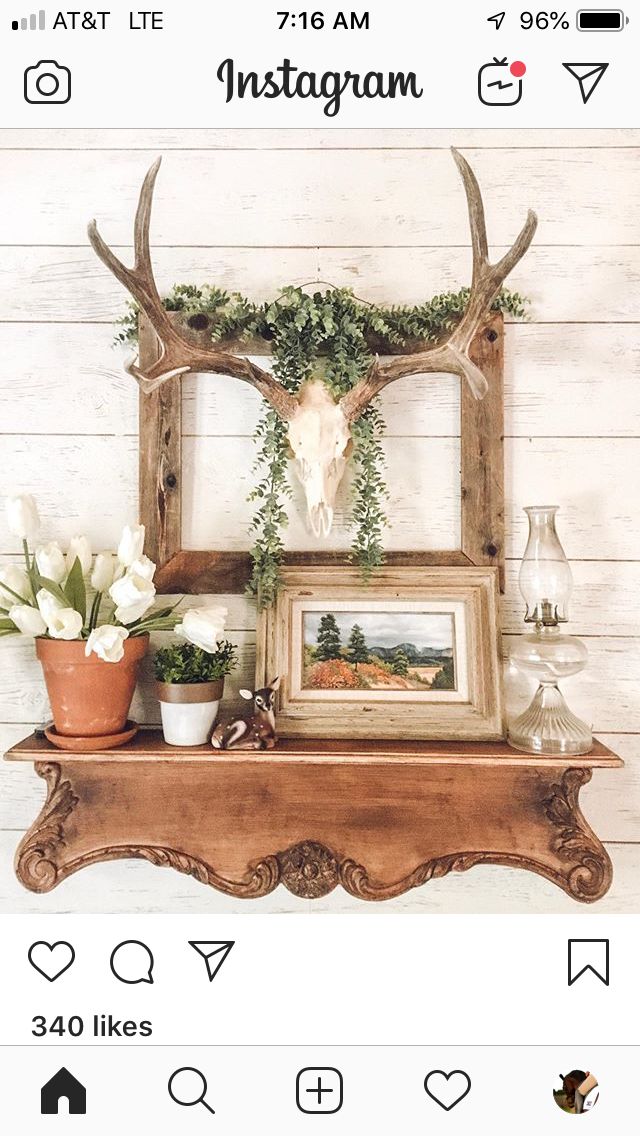 an instagram photo with flowers and deer antlers on the wall next to it