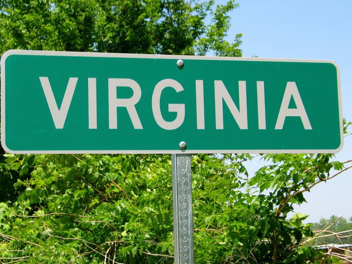 a green street sign that reads virginia on it's side with trees in the background