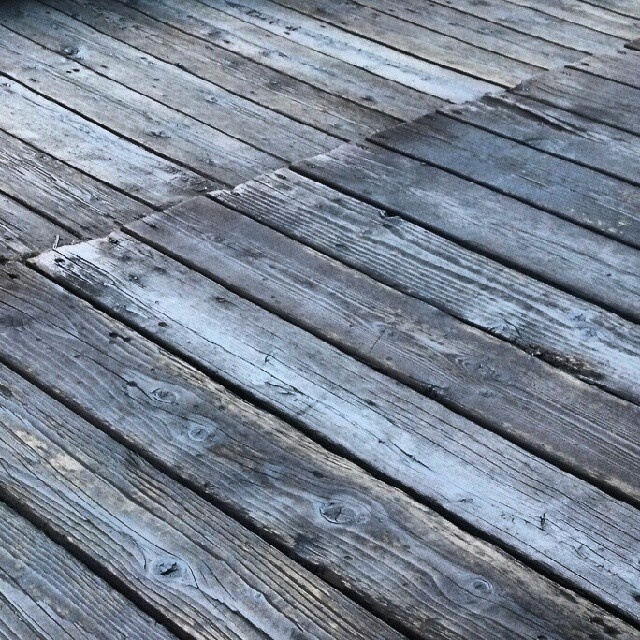 an orange cat sitting on top of a wooden deck