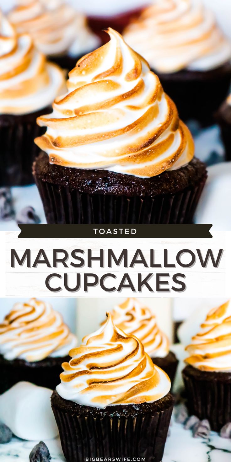 chocolate cupcakes with marshmallow frosting on top and the title overlay reads toasted marshmallow cupcakes great fall recipe